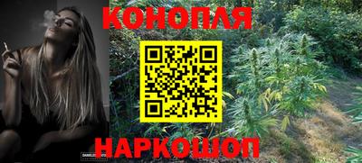 PSILOCYBIN Гусь-Хрустальный