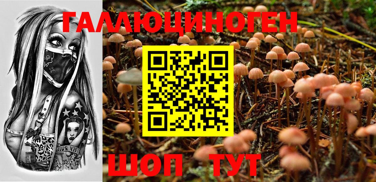 Качканар  Псилоцибиновые грибы прущие грибы  сколько стоит  Вход с VPN 