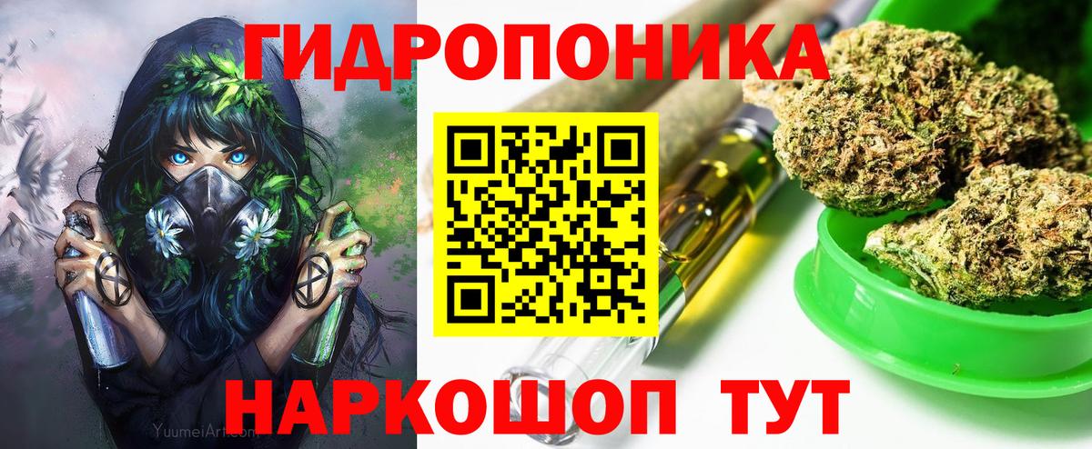 Шишки марихуана Bruce Banner Качканар